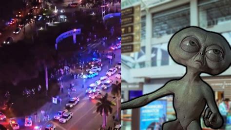 miami mall alien|what actually happened in miami.